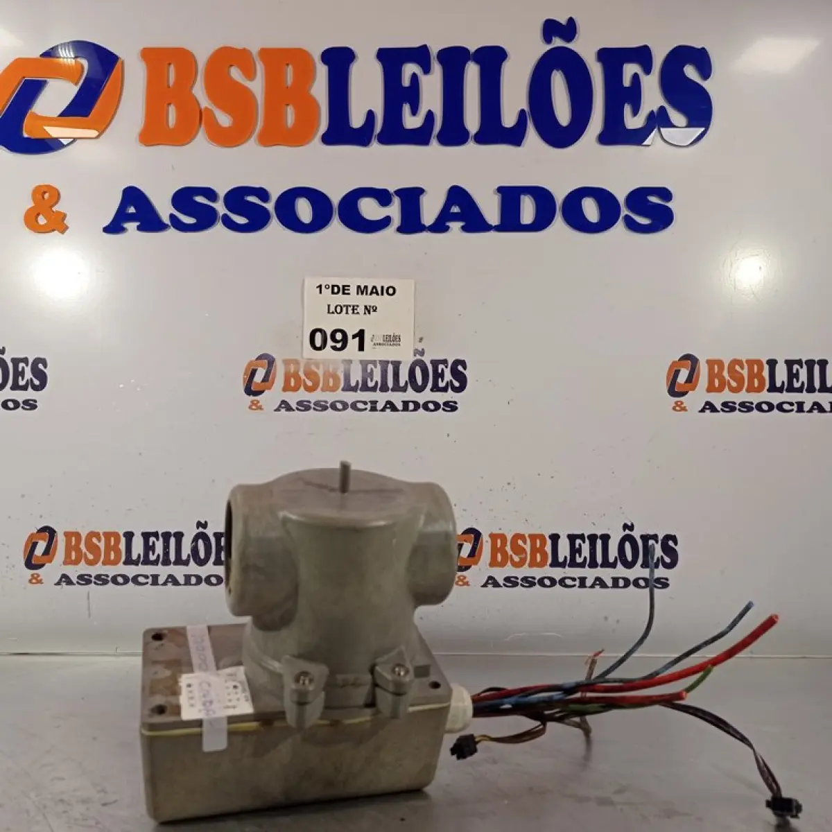 LOTE 091