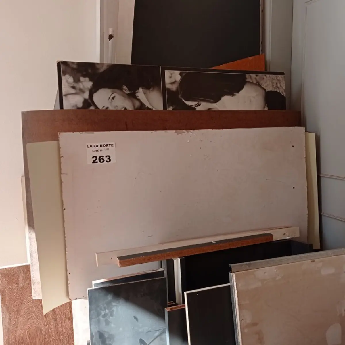 LOTE 263