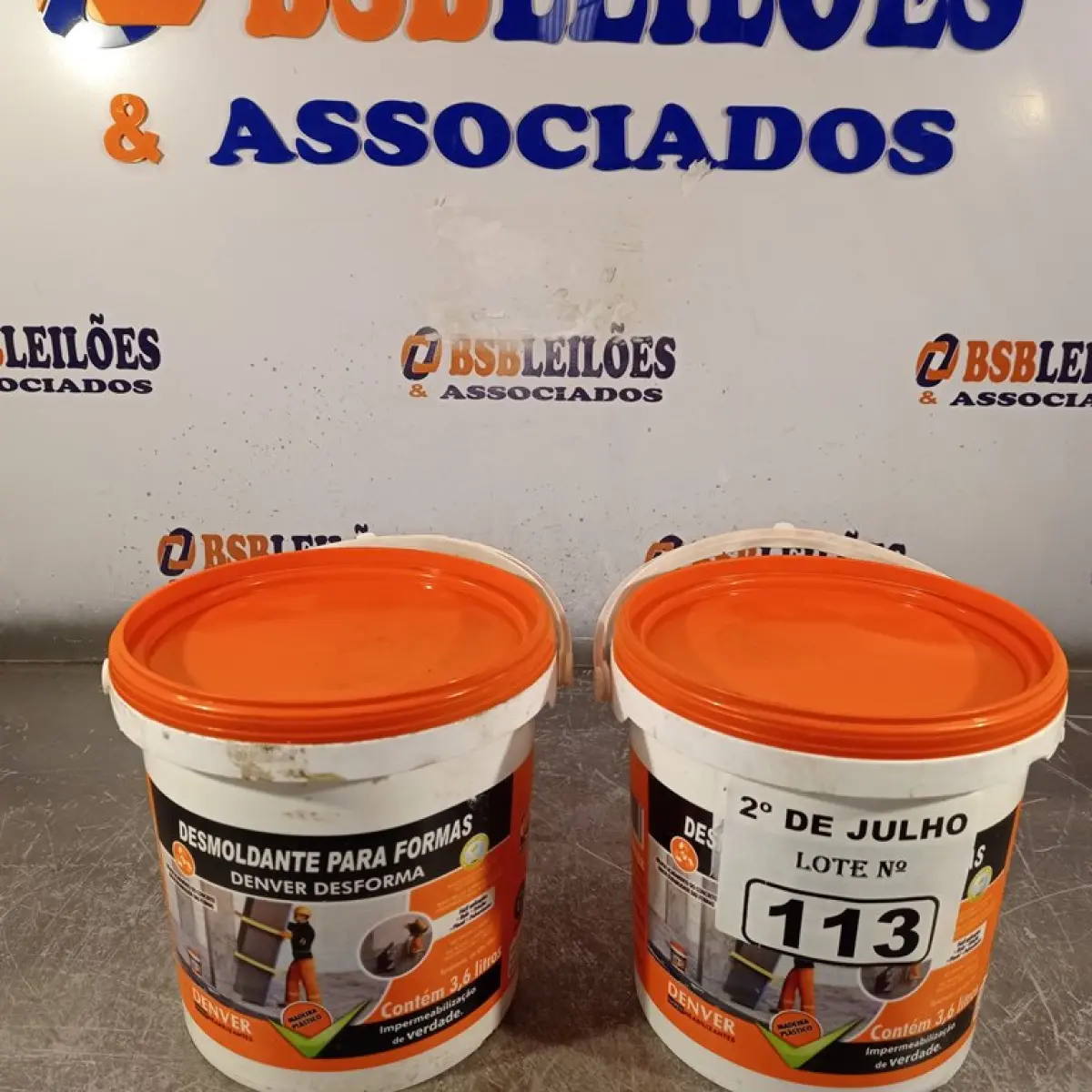 LOTE 113