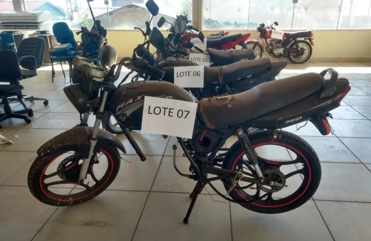 LOTE 709