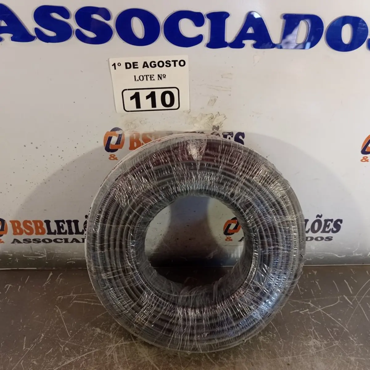 LOTE 110