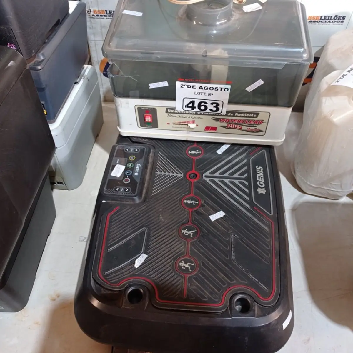 LOTE 463