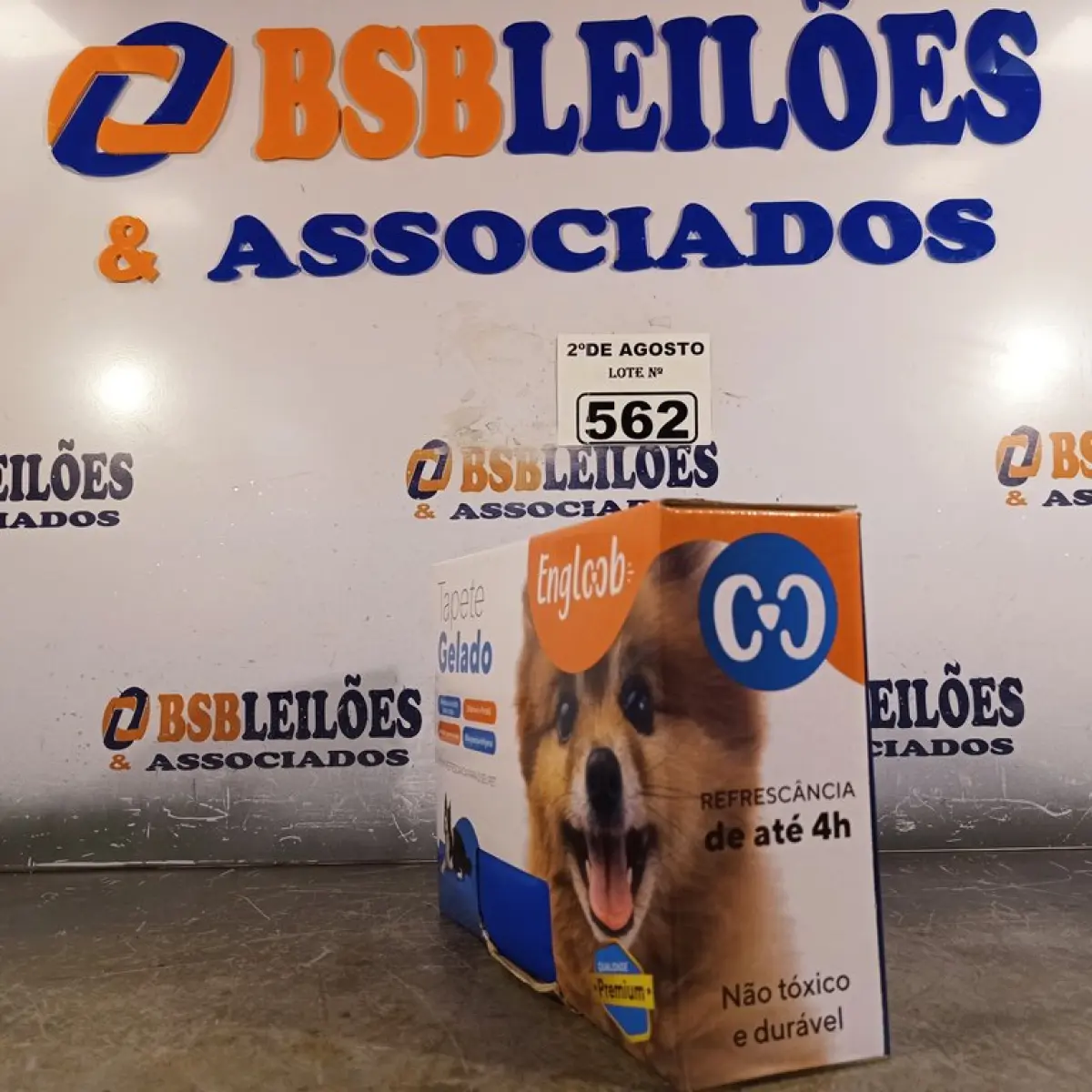 LOTE 562