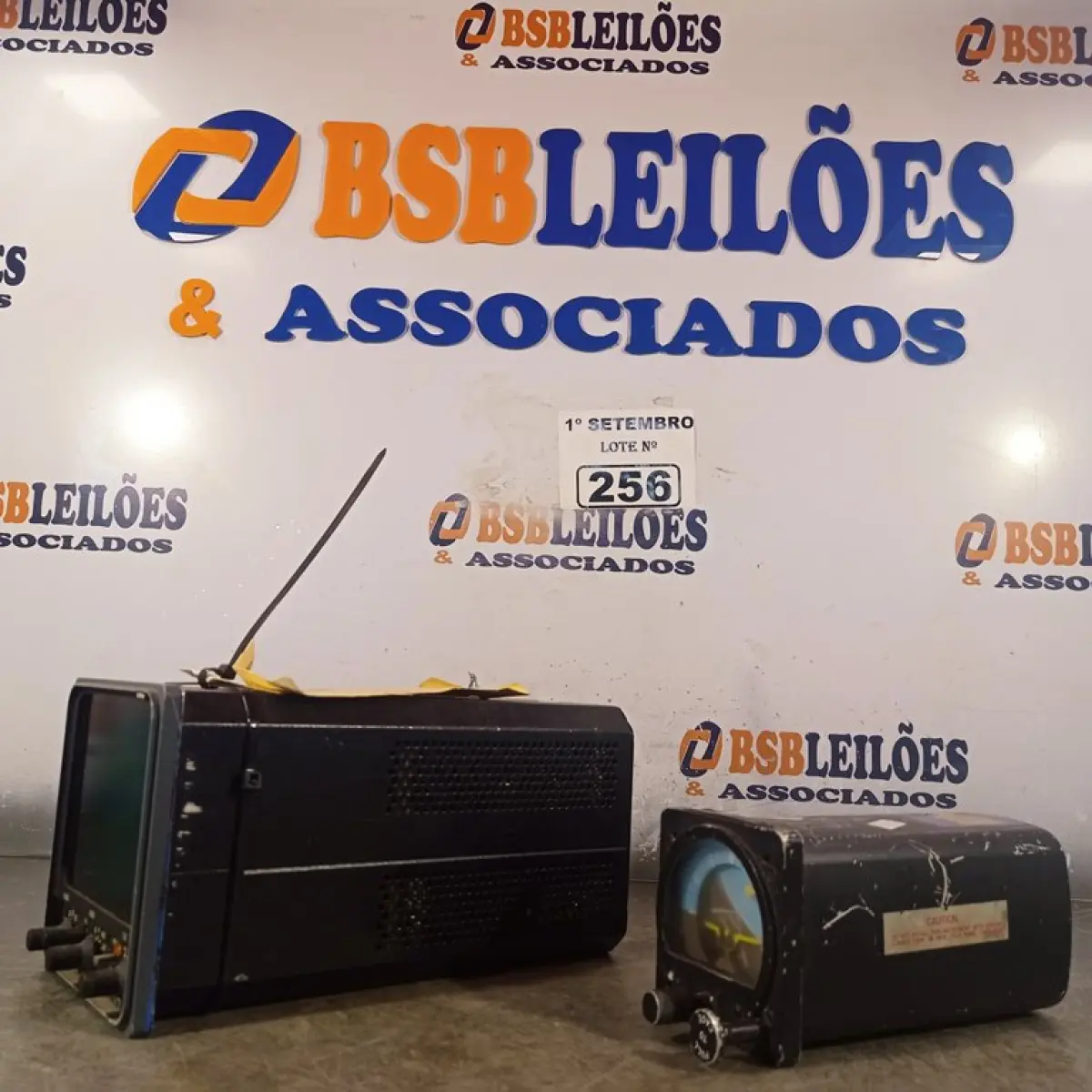 LOTE 256