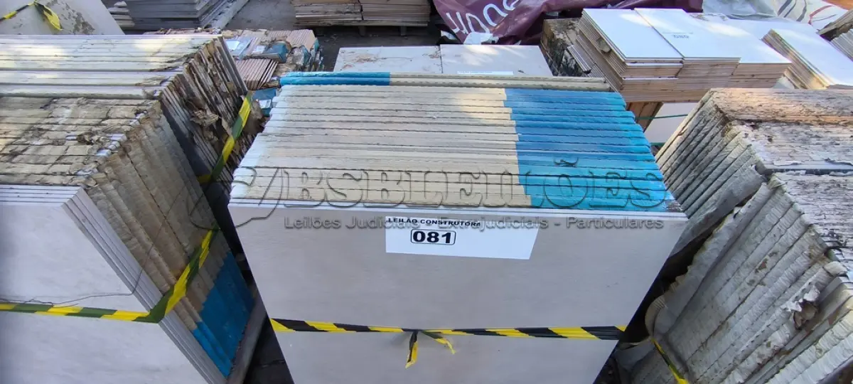 LOTE 081