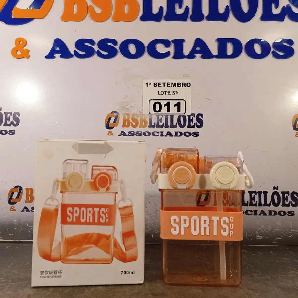 LOTE 011