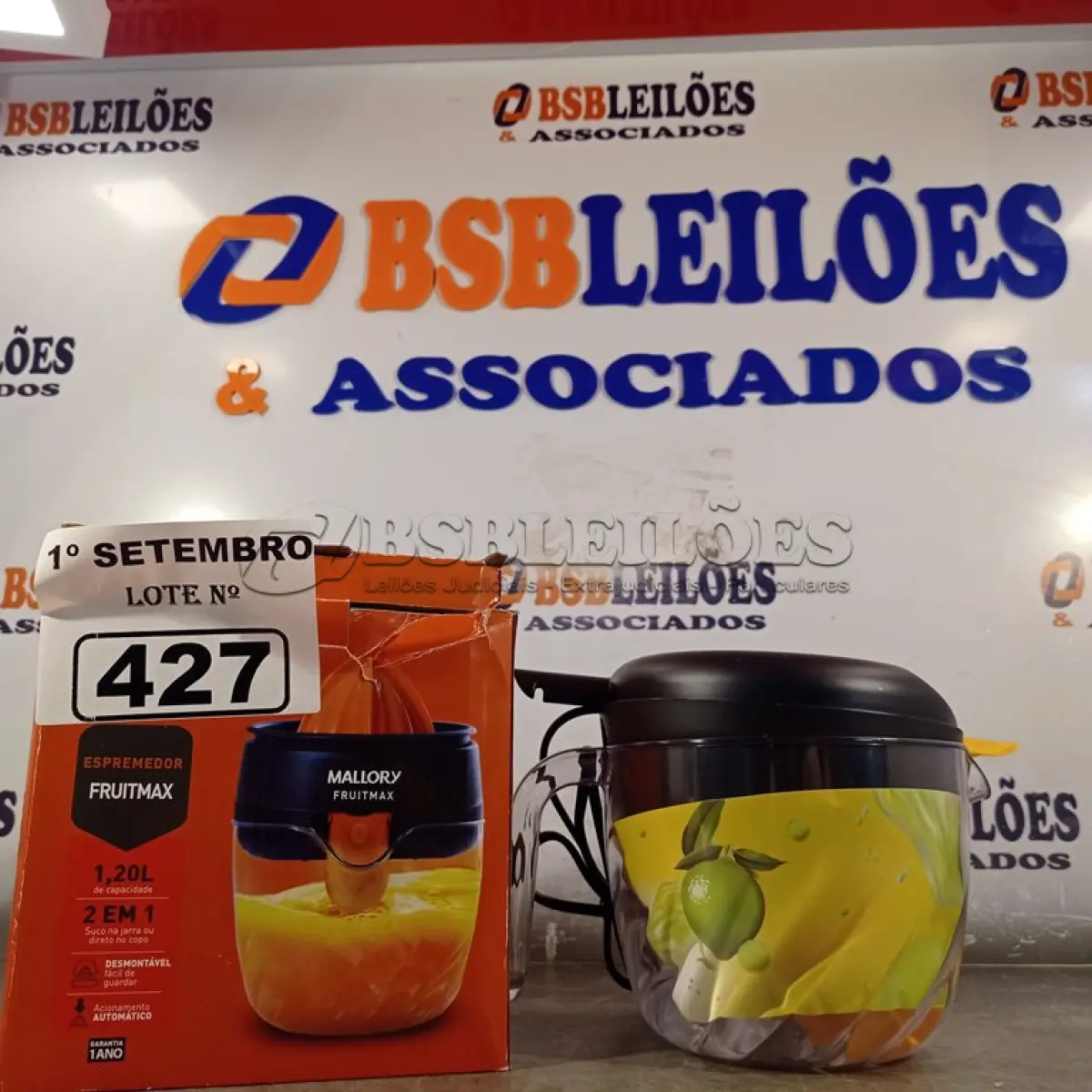 LOTE 427