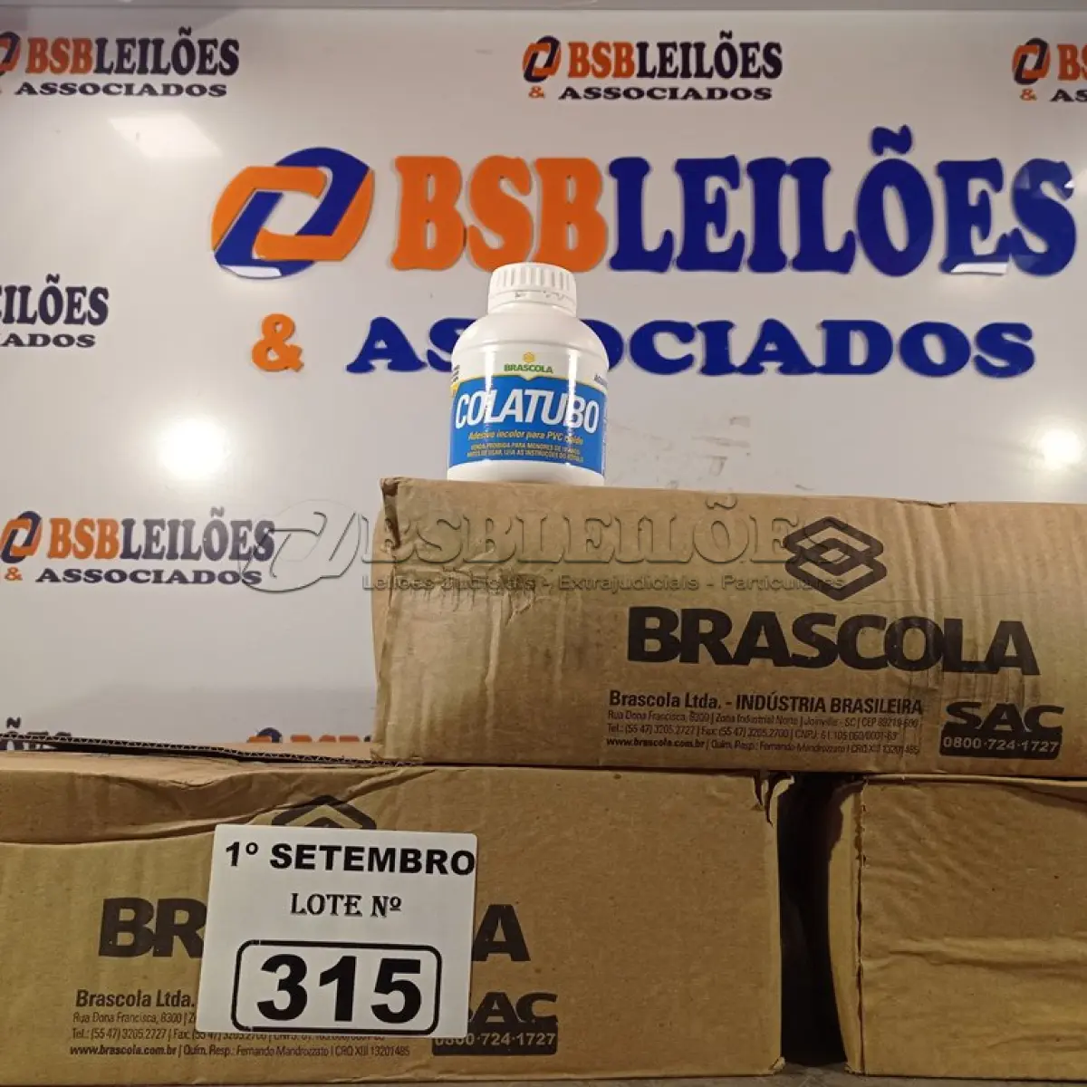 LOTE 315