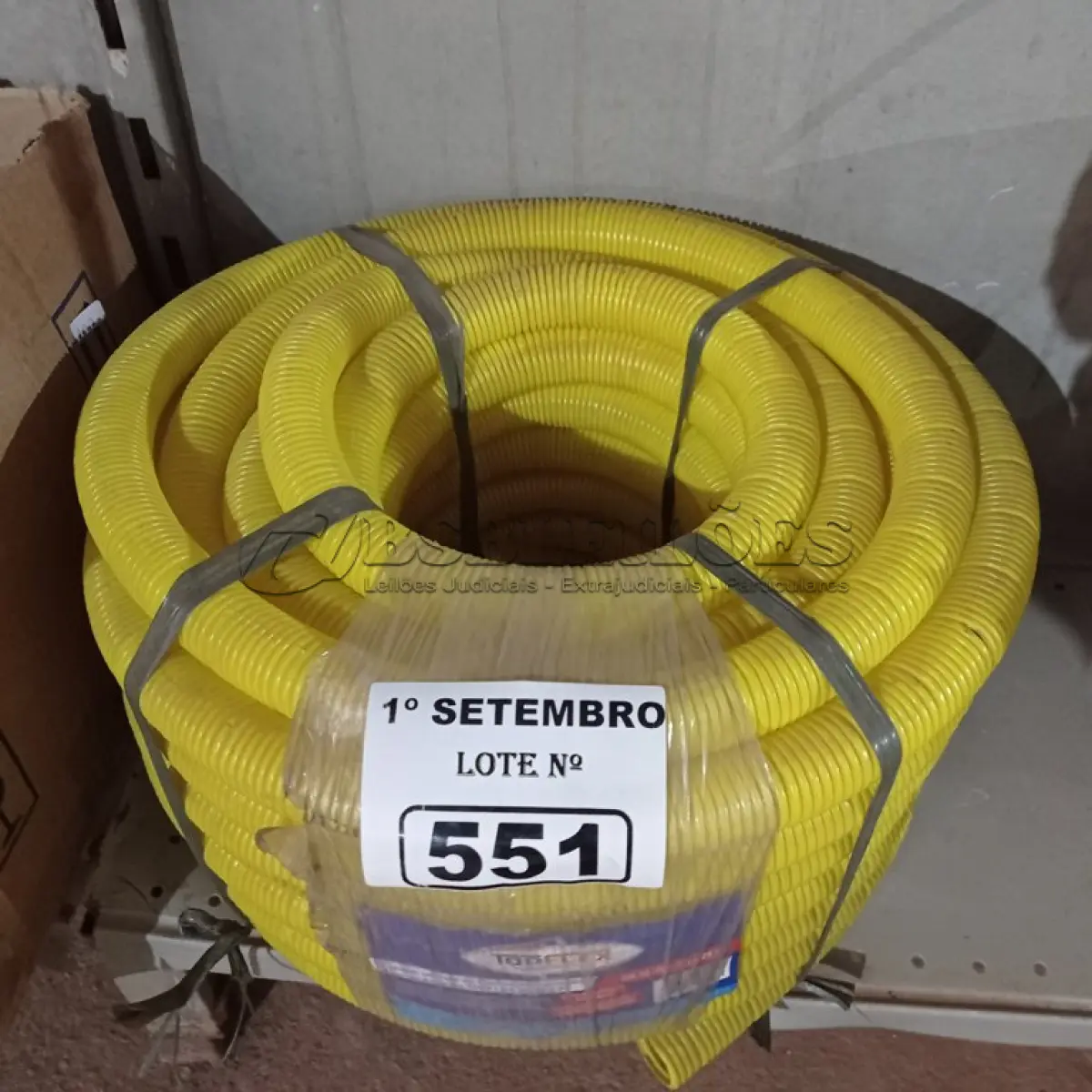 LOTE 551