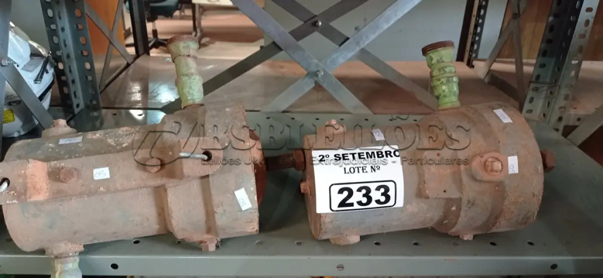 LOTE 233 - 02 BOMBAS D’AGUA. (NO ESTADO) ATENÇÃO! FAZER A VISITAÇÃO ANTES DE ARREMATAR, NÃO SABEMOS SE FUNCIONA. LEILÃO NÃO TEM GARANTIA E NEM DEVOLUÇÃO, SUJEITO A POSSÍVEIS AVARIAS VISÍVEIS/OCULTAS E/OU AUSÊNCIA DE COMPONENTES.