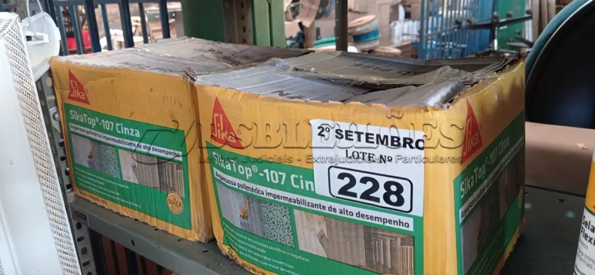 LOTE 228