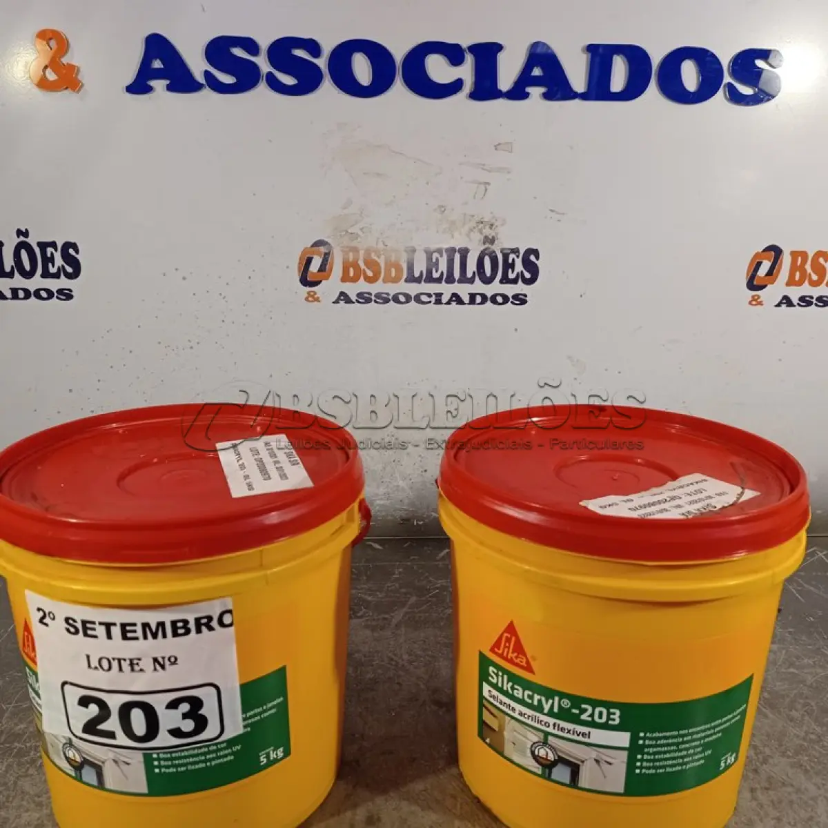LOTE 203