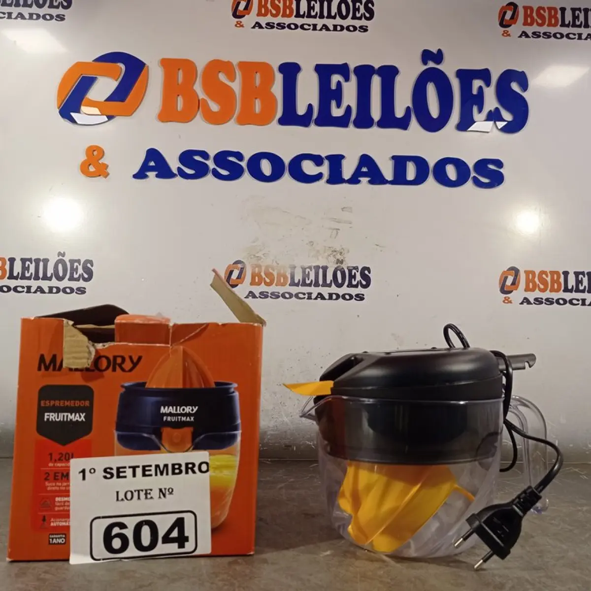 LOTE 604