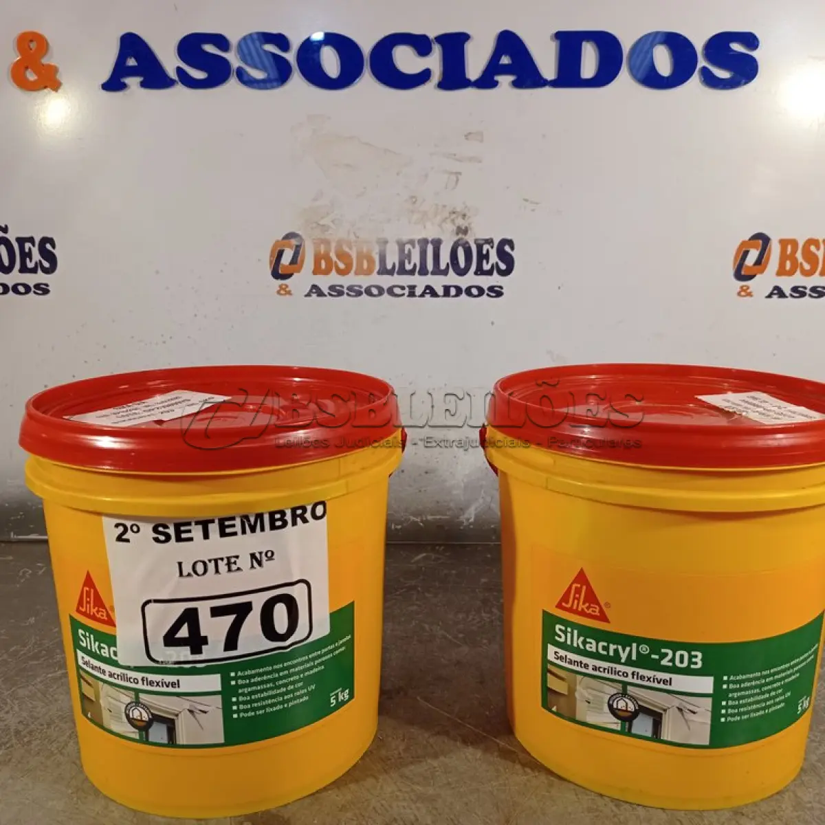 LOTE 470