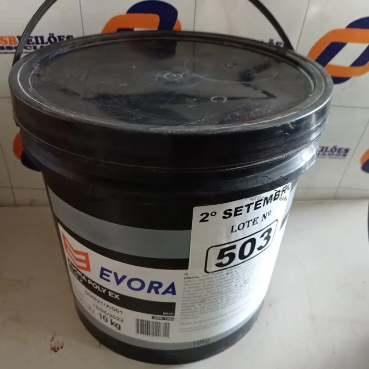 LOTE 503