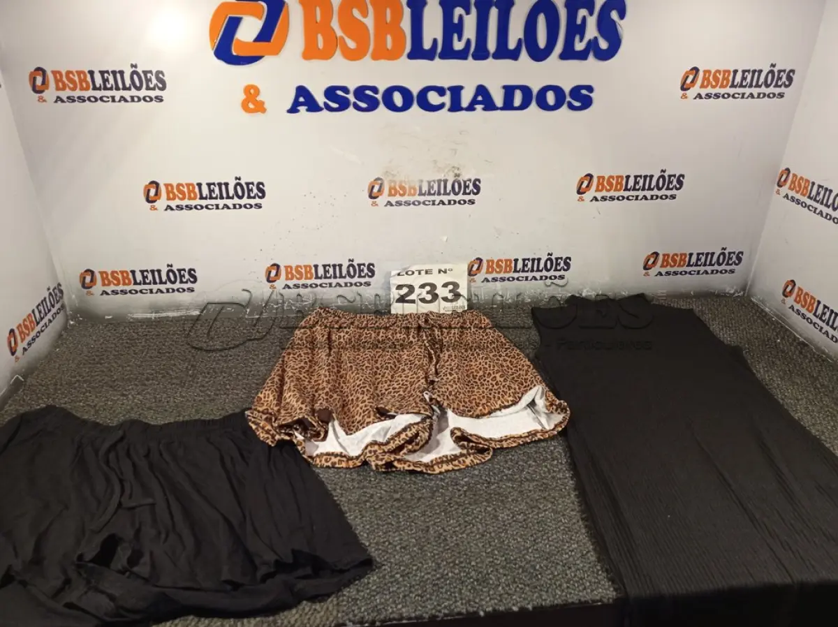 LOTE 233 - 07 – PEÇAS DE ROUPAS FEMININAS (NO ESTADO, NÃO SABEMOS SE FUNCIONA. LEILÃO NÃO TEM GARANTIA E NEM DEVOLUÇÃO, SUJEITO A POSSÍVEIS AVARIAS VISÍVEIS/OCULTAS E/OU AUSÊNCIA DE COMPONENTES)