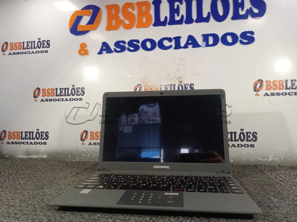 LOTE 339