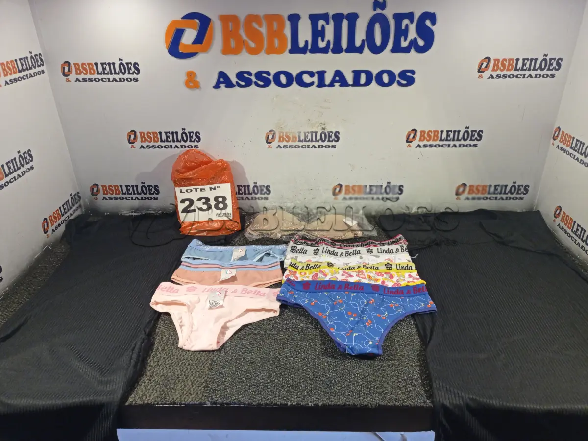 LOTE 238 - 20 – PEÇAS DE ROUPAS FEMININAS DIVERSAS (NO ESTADO, NÃO SABEMOS SE FUNCIONA. LEILÃO NÃO TEM GARANTIA E NEM DEVOLUÇÃO, SUJEITO A POSSÍVEIS AVARIAS VISÍVEIS/OCULTAS E/OU AUSÊNCIA DE COMPONENTES)