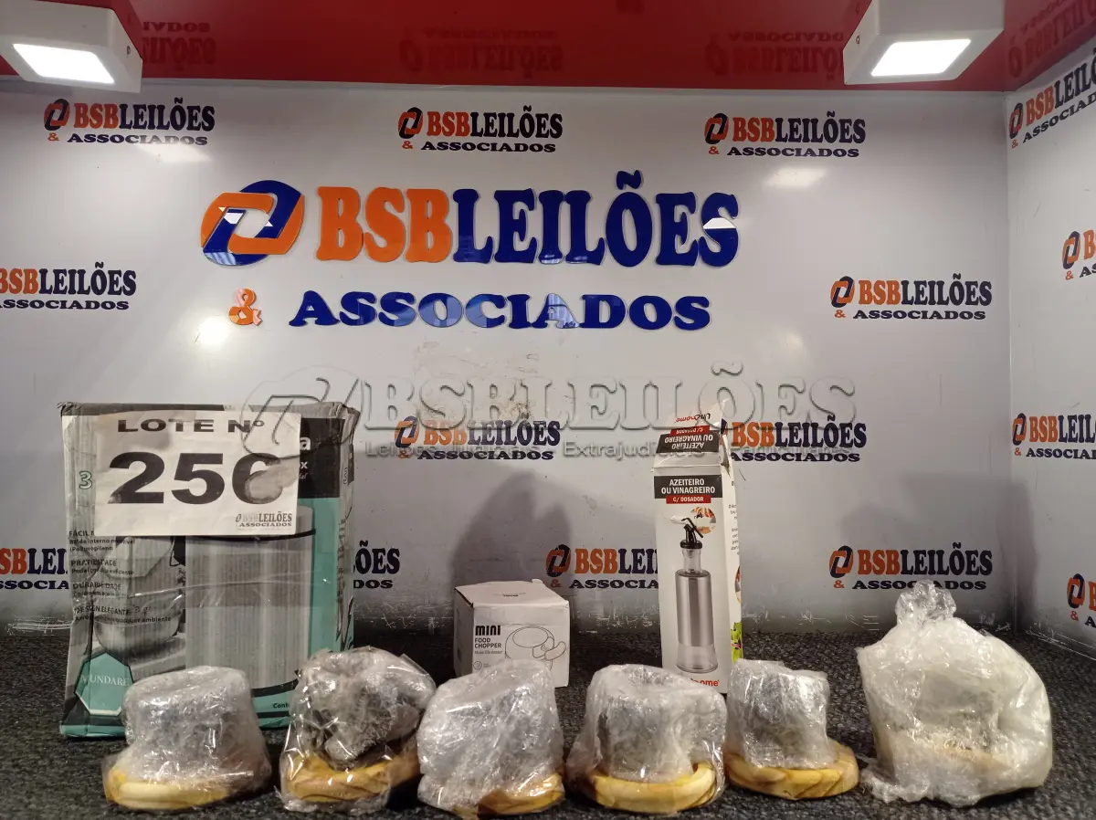 LOTE 256 - 11 - ITENS DOMÉSTICOS DIVERSOS (NO ESTADO, NÃO SABEMOS SE FUNCIONA. LEILÃO NÃO TEM GARANTIA E NEM DEVOLUÇÃO, SUJEITO A POSSÍVEIS AVARIAS VISÍVEIS/OCULTAS E/OU AUSÊNCIA DE COMPONENTES)