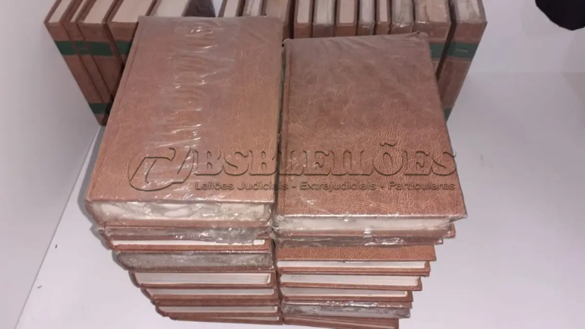 LOTE 606