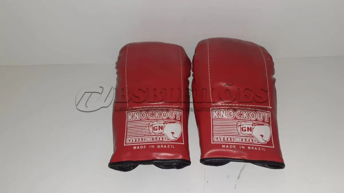 LOTE 454 - LUVAS BOX (NO ESTADO)