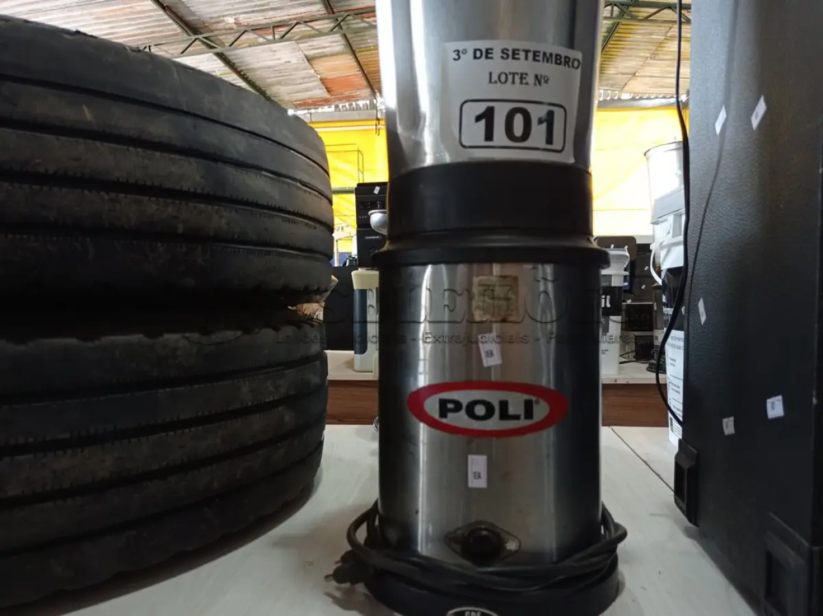 LOTE 101