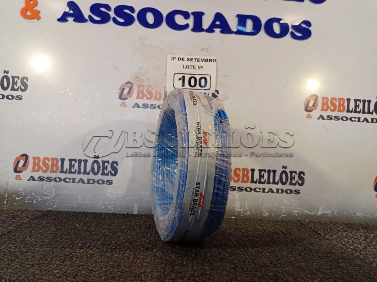 LOTE 100
