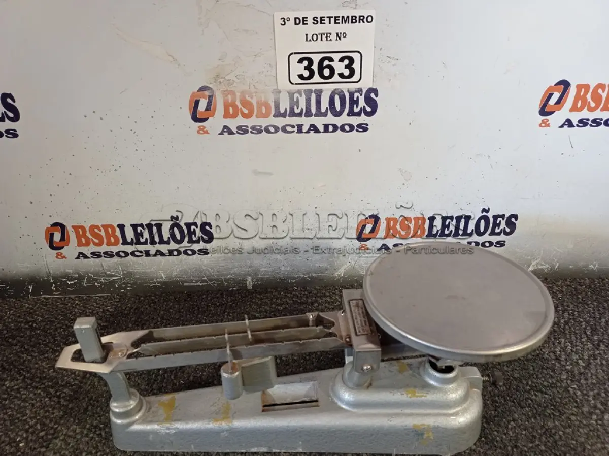 LOTE 363