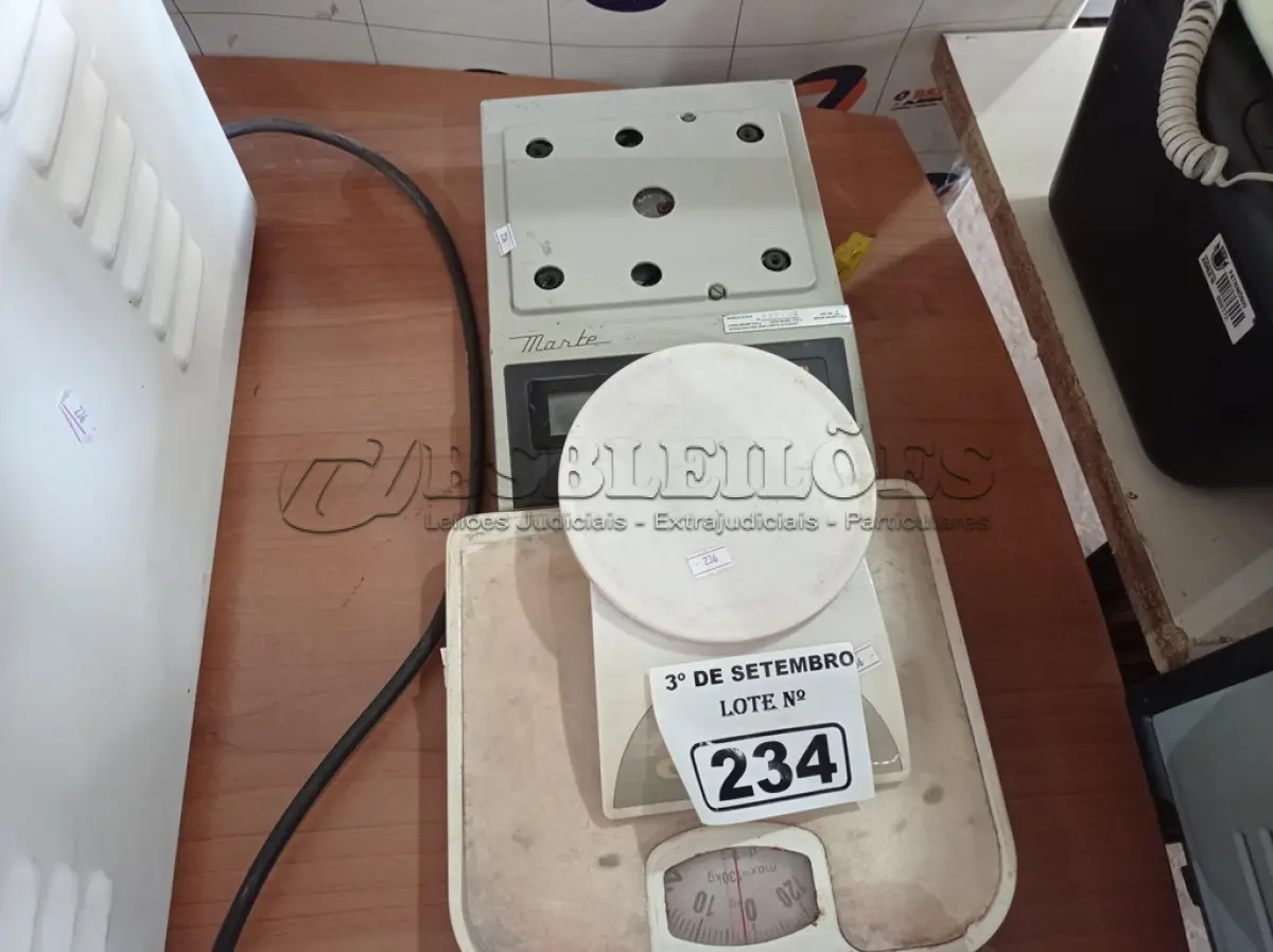 LOTE 234