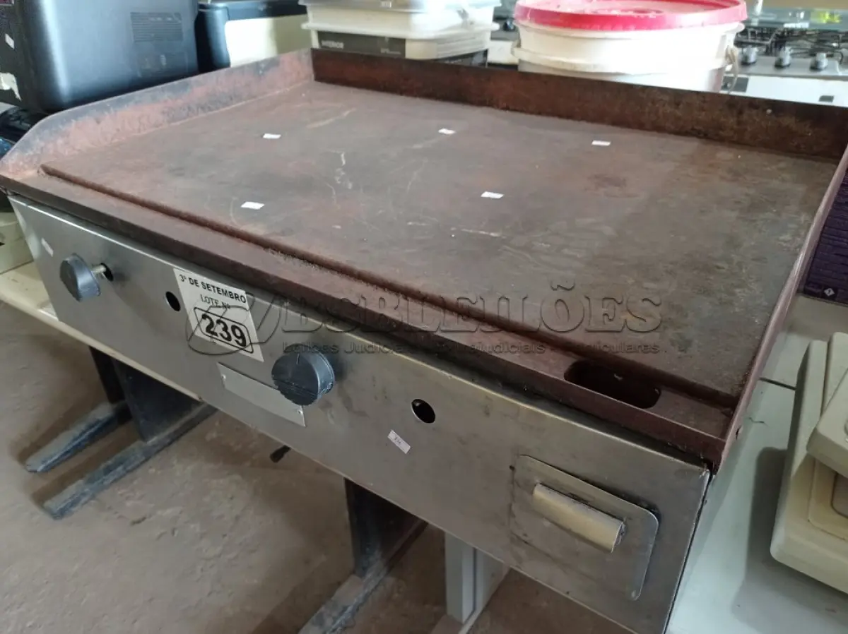 LOTE 239