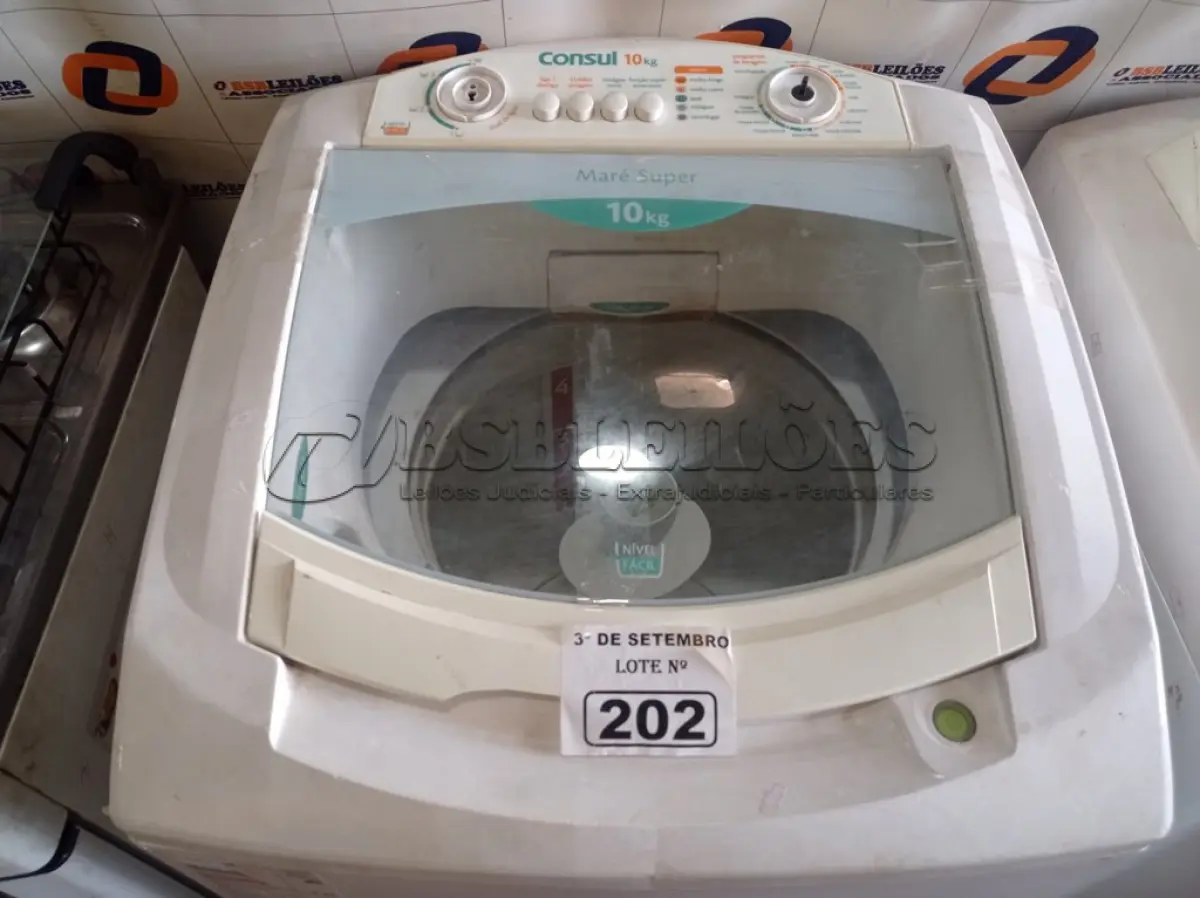 LOTE 202