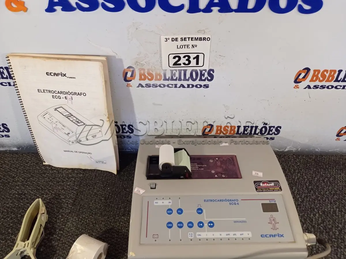 LOTE 231