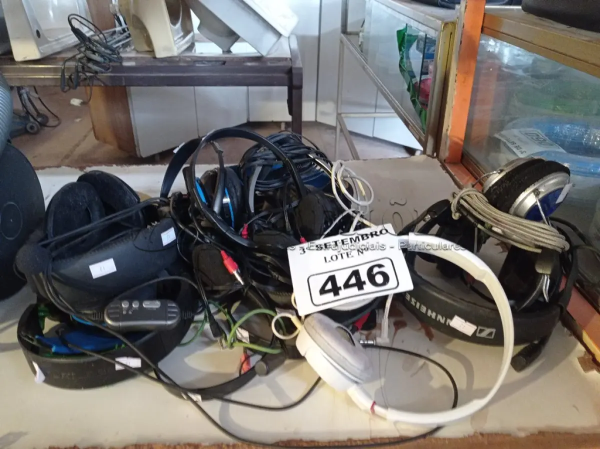 LOTE 446