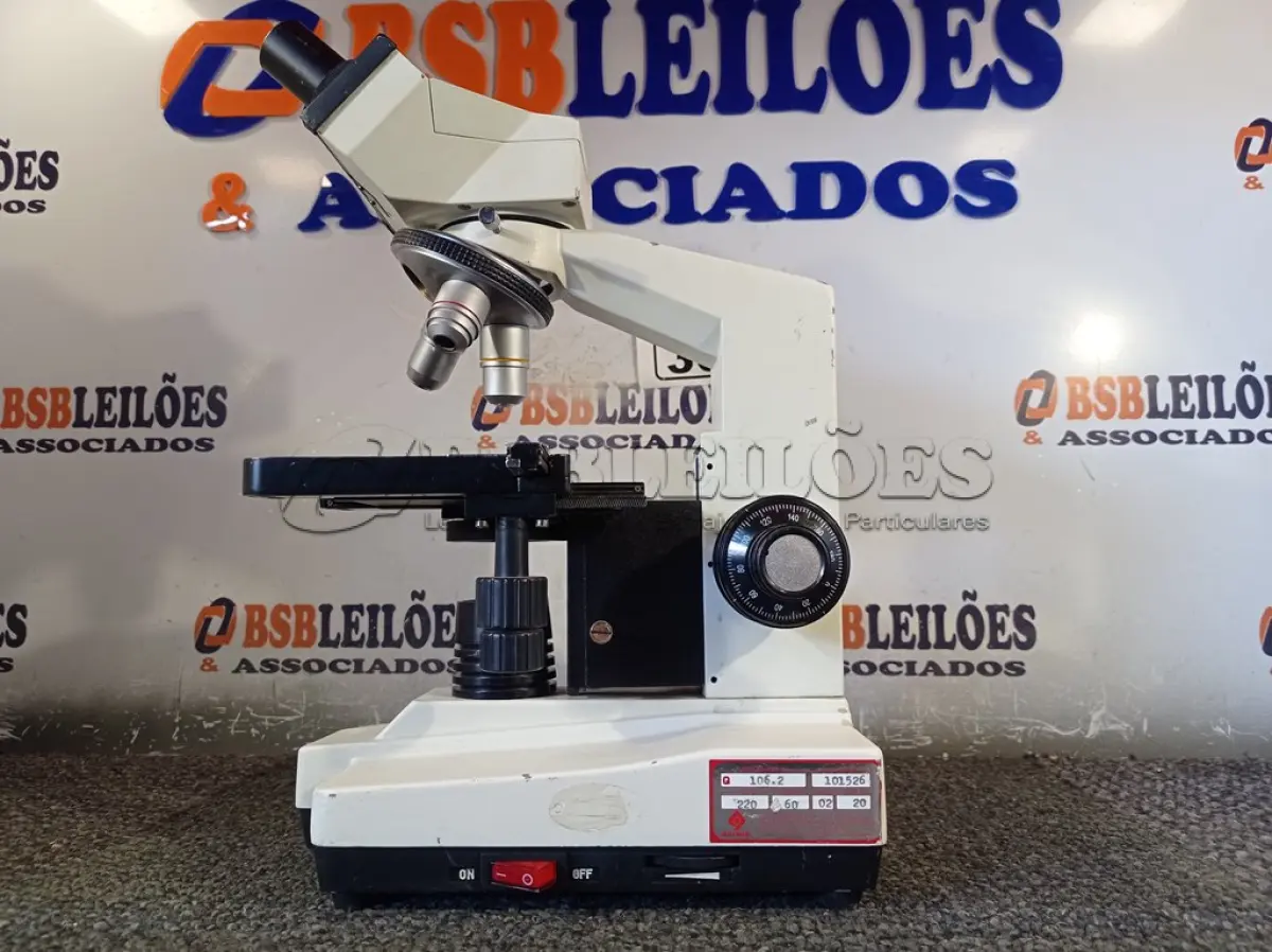 LOTE 365