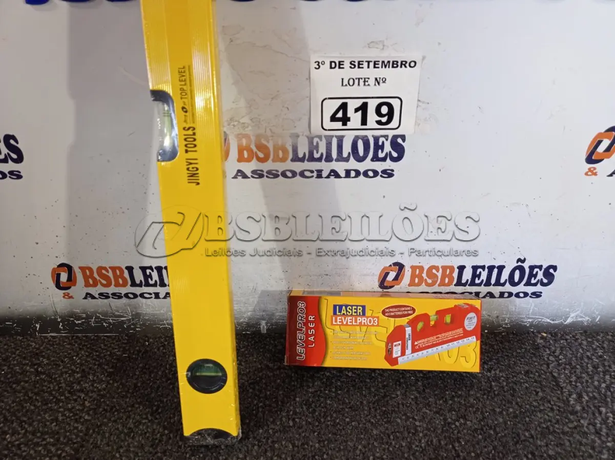 LOTE 419