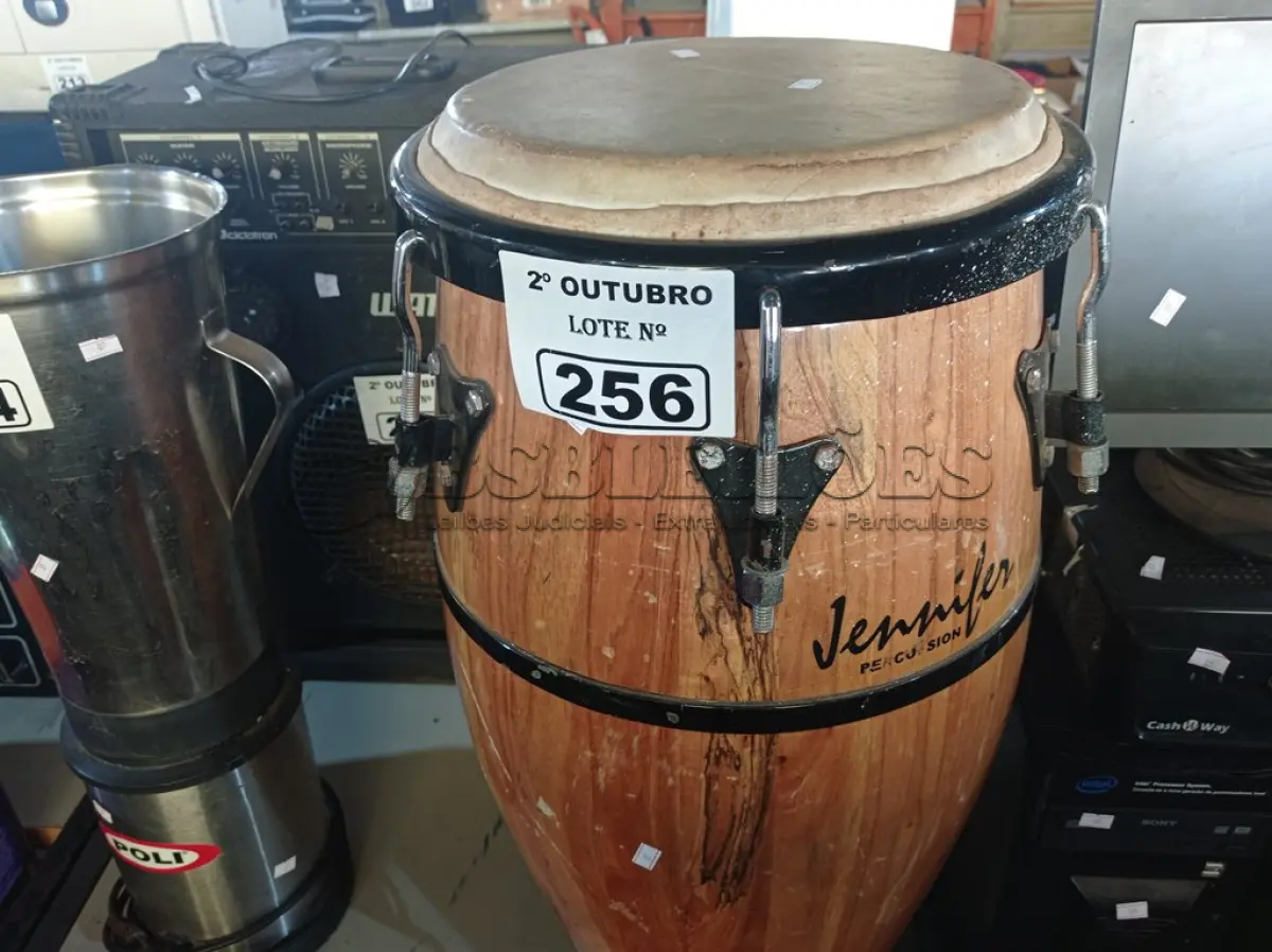 LOTE 256