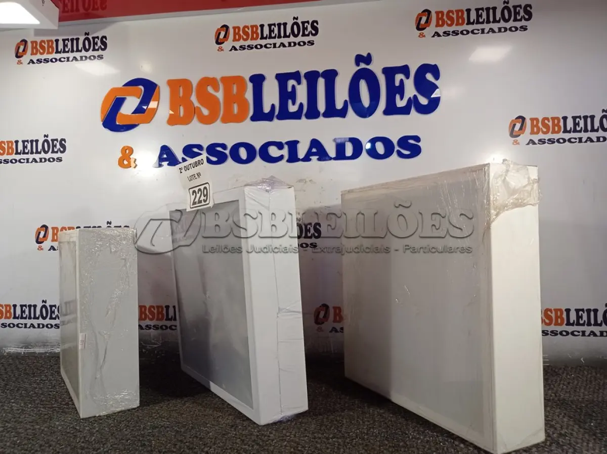 LOTE 229
