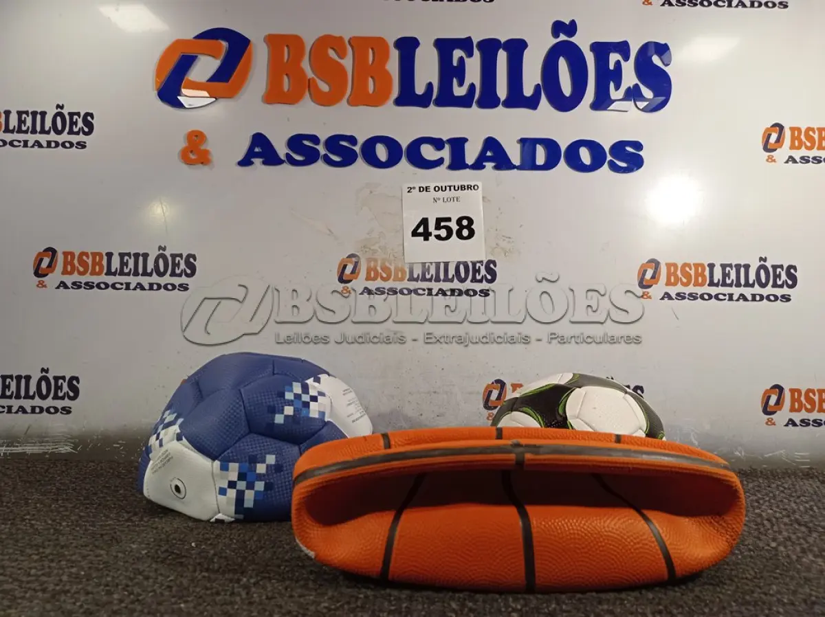 LOTE 458