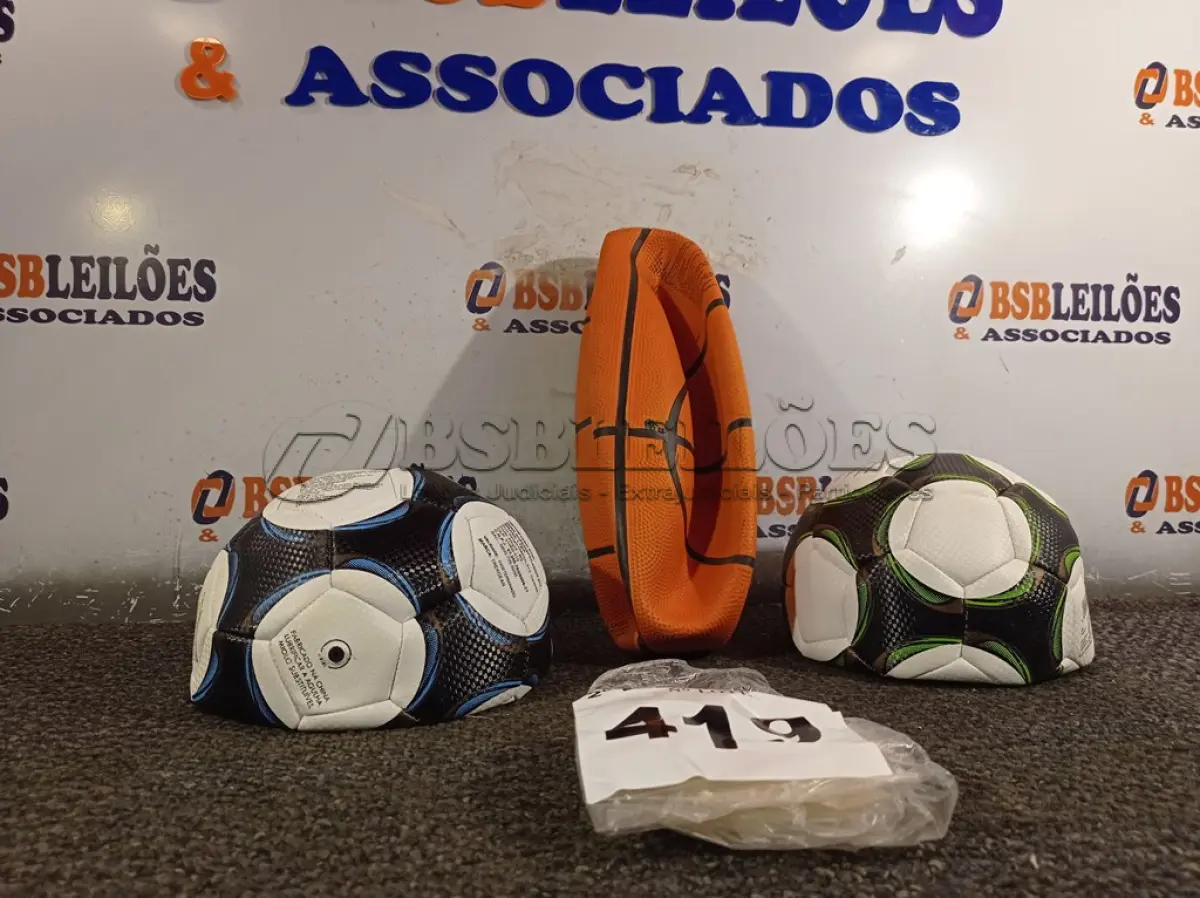 LOTE 419