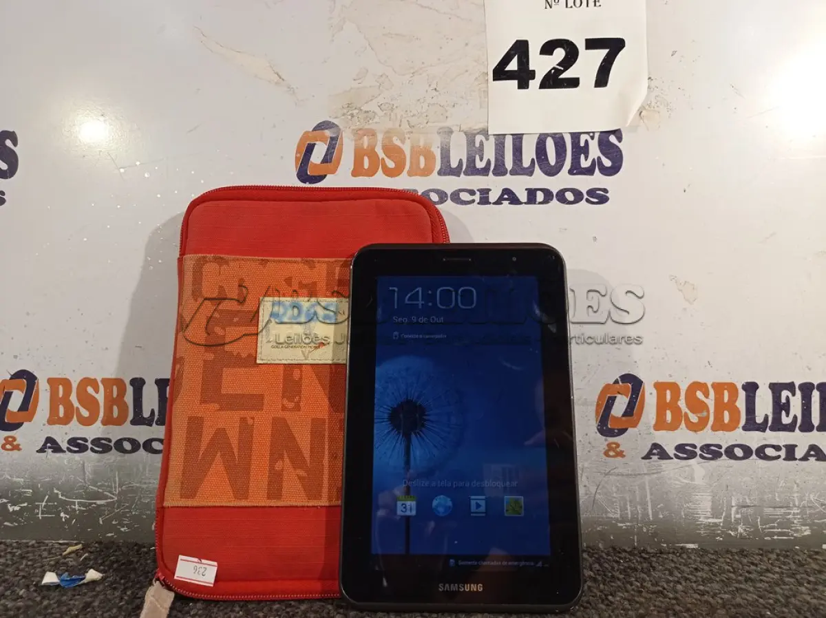 LOTE 427