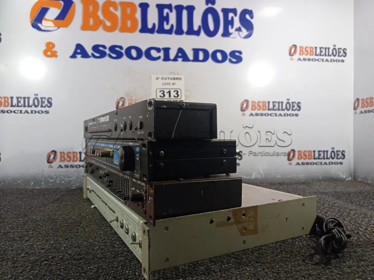 LOTE 313