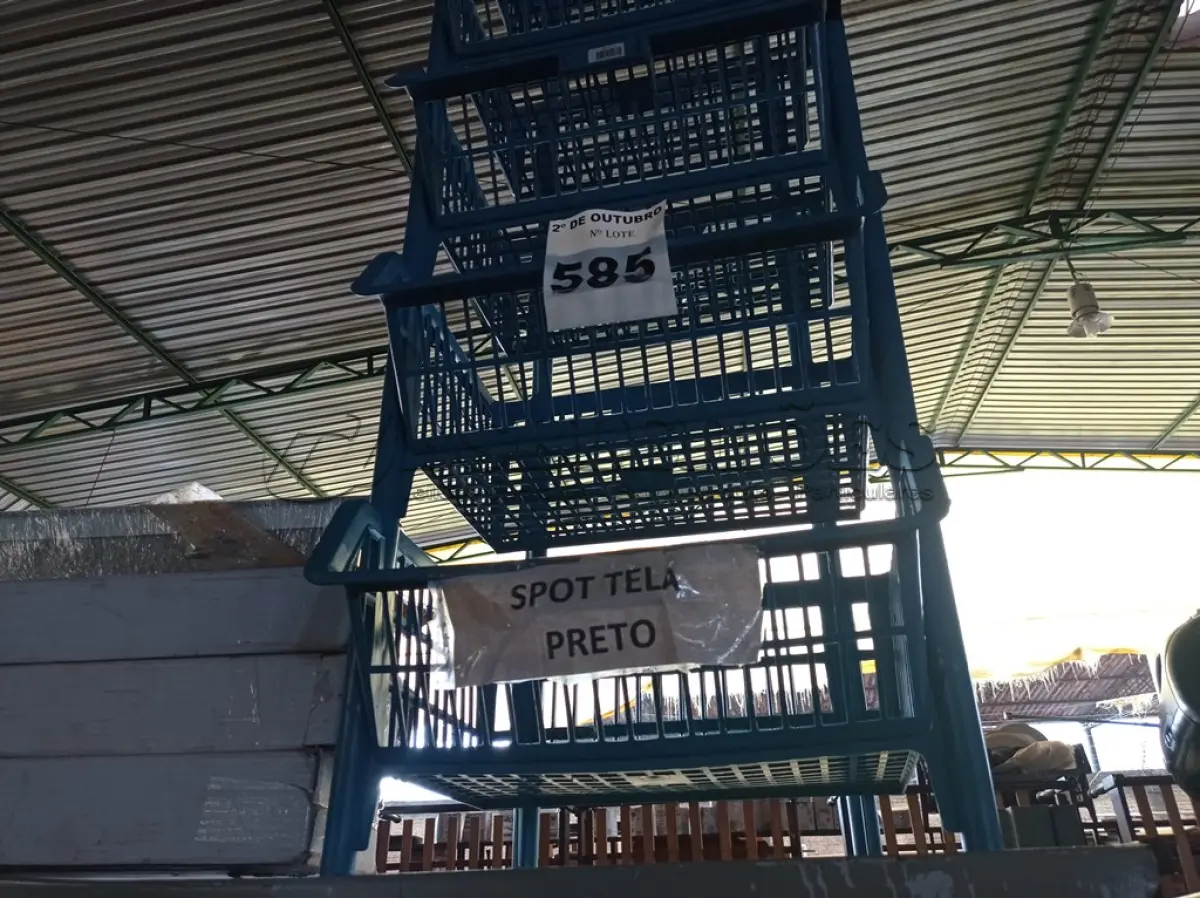 LOTE 585 - 05 CESTOS DE PLÁSTICO. (NO ESTADO) ATENÇÃO! FAZER A VISITAÇÃO ANTES DE ARREMATAR, NÃO SABEMOS SE FUNCIONA. LEILÃO NÃO TEM GARANTIA E NEM DEVOLUÇÃO, SUJEITO A POSSÍVEIS AVARIAS VISÍVEIS/OCULTAS E/OU AUSÊNCIA DE COMPONENTES.
