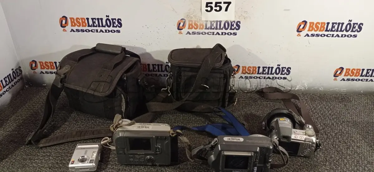 LOTE 557