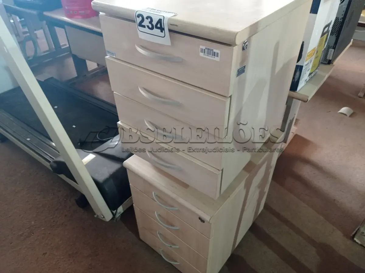 LOTE 234 - 02 GAVETEIROS COM 04 GAVETAS. (NO ESTADO) ATENÇÃO! FAZER A VISITAÇÃO ANTES DE ARREMATAR, NÃO SABEMOS SE FUNCIONA. LEILÃO NÃO TEM GARANTIA E NEM DEVOLUÇÃO, SUJEITO A POSSÍVEIS AVARIAS VISÍVEIS/OCULTAS E/OU AUSÊNCIA DE COMPONENTES.