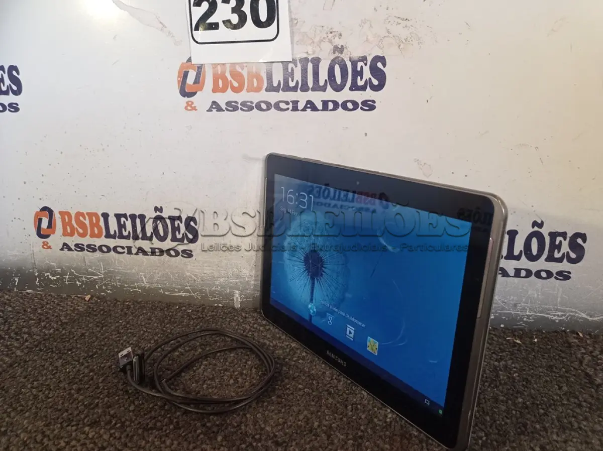 LOTE 230