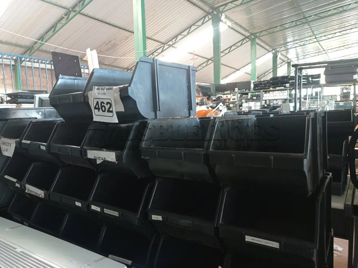 LOTE 462