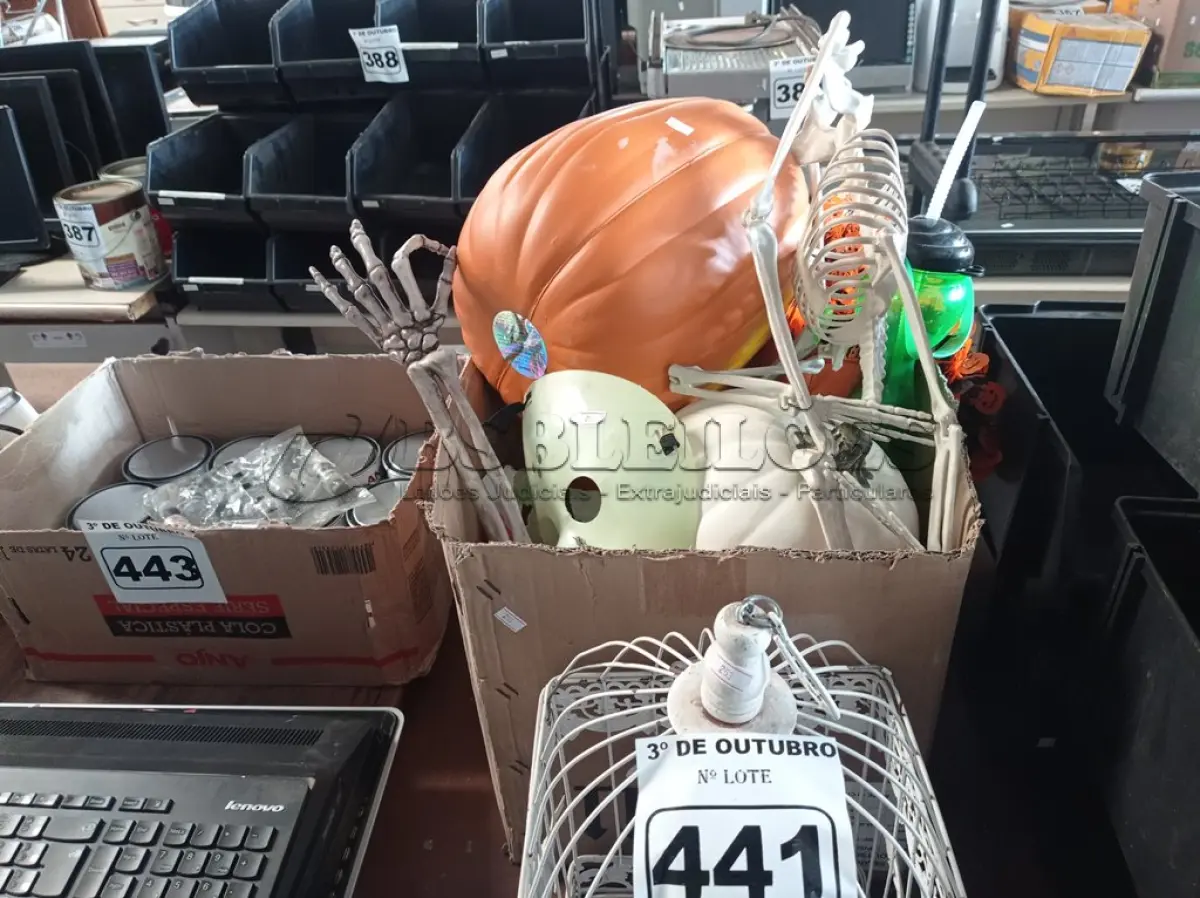 LOTE 441