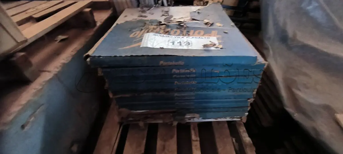 LOTE 119