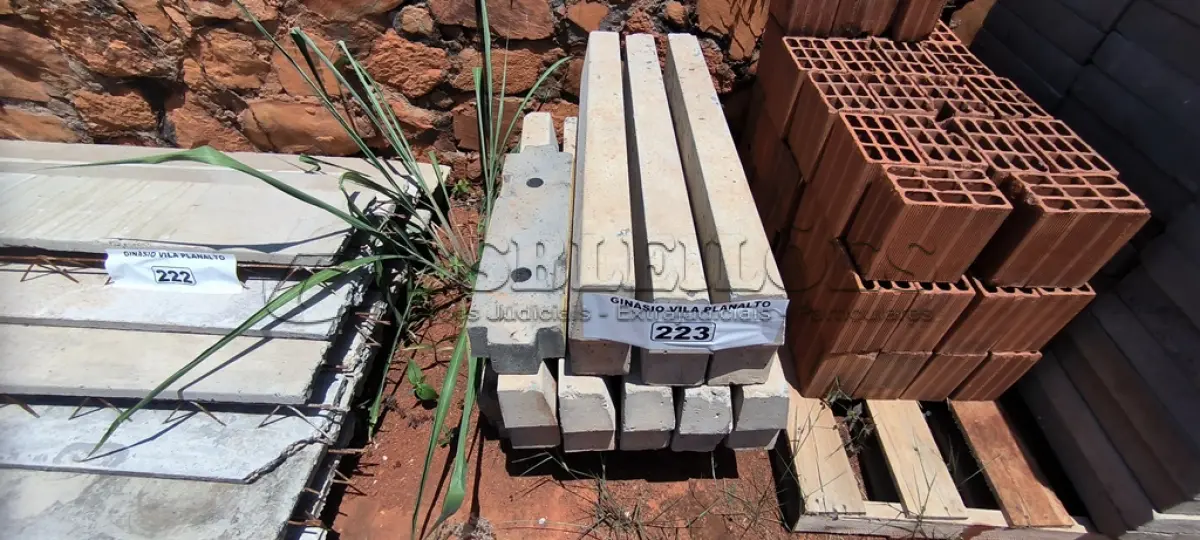 LOTE 223