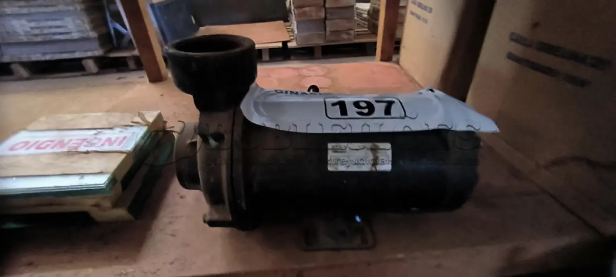 LOTE 197 - 01 BOMBA D’ÁGUA (NO ESTADO, NÃO SABEMOS SE FUNCIONA. LEILÃO NÃO TEM GARANTIA E NEM DEVOLUÇÃO).